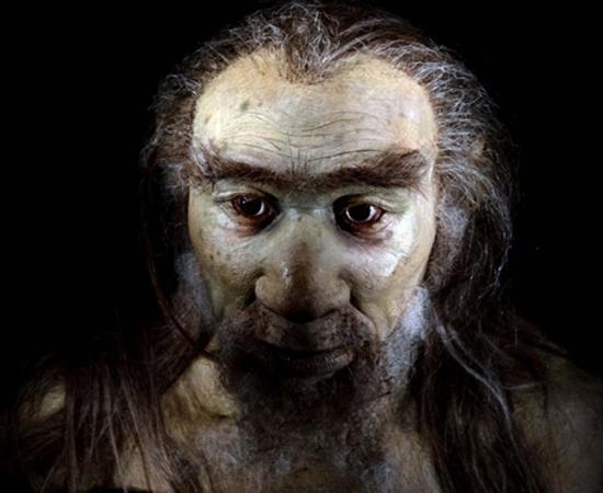 Prehistoric hominid species (Andrea Izzotti / Adobe Stock).