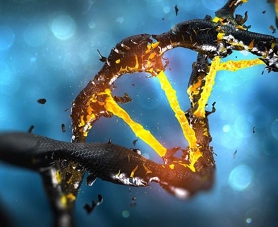 DNA molecule spiral structure with unique connection. 