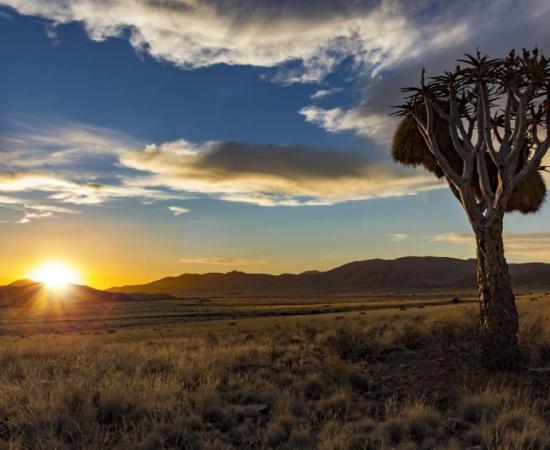 Southwest Africa, one of the places of human origins. Source: mezzotint_fotolia / Adobe Stock.