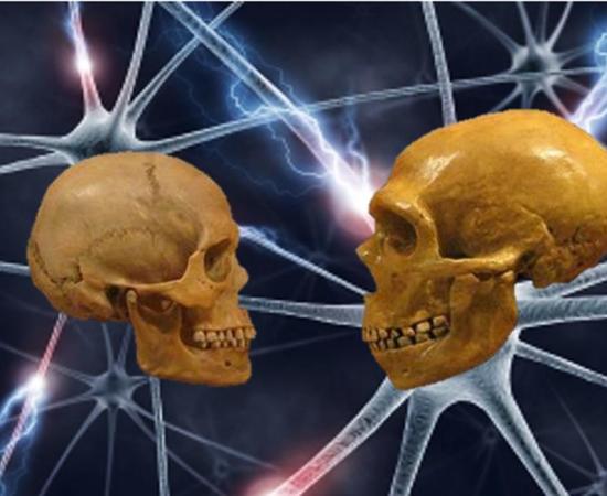 Schizophrenia Emerged After Humans Diverged from Neanderthals