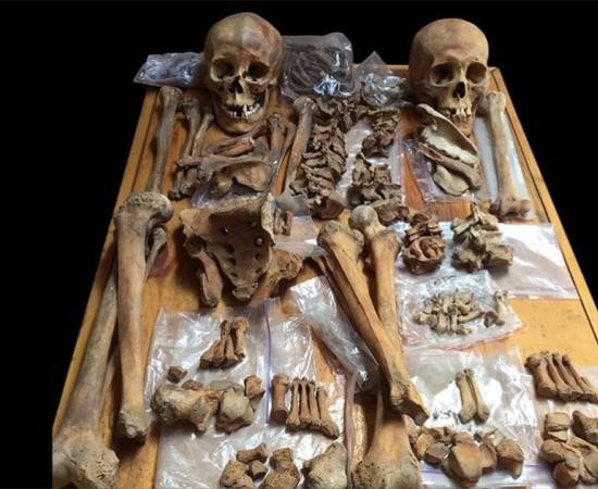 Researchers are challenging historic gender archetypes, revealing many “battle scars” on skeletal remains pointing to the existence of warrior women. Pictured: skeletons of two people buried in an ancient tomb in Mongolia include a woman (left) who may have been a horse-riding, bow-and-arrow-wielding warrior, scientists say. Source: Christine Lee / California State University