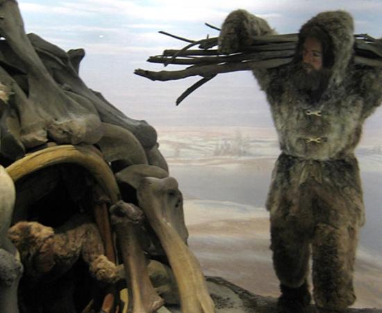 The Genetic History of Ice Age Europe