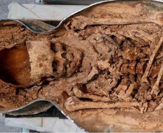 The elongated skull of a nobleman found in one of two lead-line sarcophagi interred in Notre Dame Cathedral.