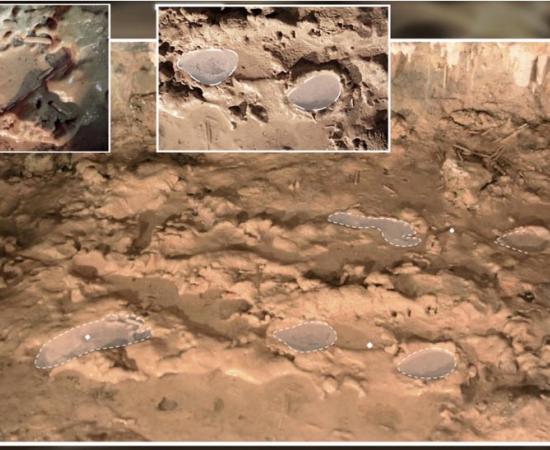  Imprints found in the cave allowed analysis of ancient human behavior