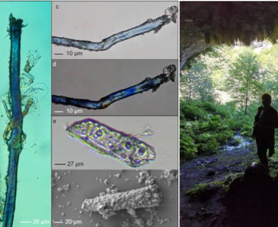 Left; Archaeological elongated blue micro-fragments extracted from the innermost second mold. Right; Laura Longo at the Dzudzzuana Cave entrance, Georgia
