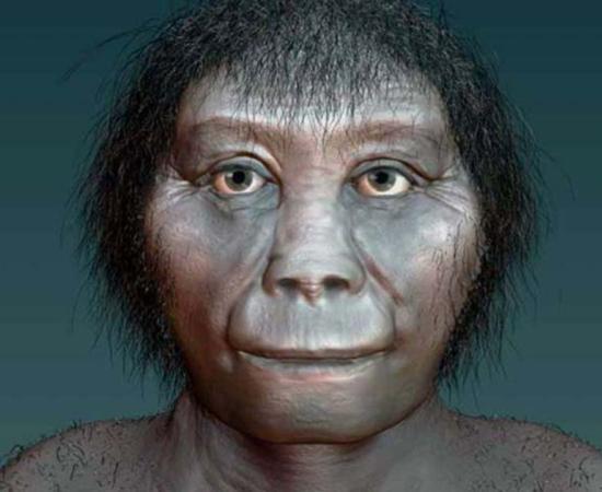 Artist's impression of Homo floresiensis. 