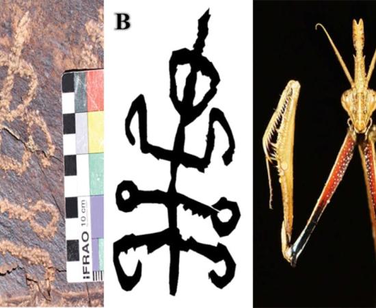 The Squatter / Mantis-Man petroglyph found in Teymareh rock art site, Iran. Right A praying mantis, Empusa hedenborgi.      Source: Dr Mohammad Naserifard / Mr Mahmood Kolnegari