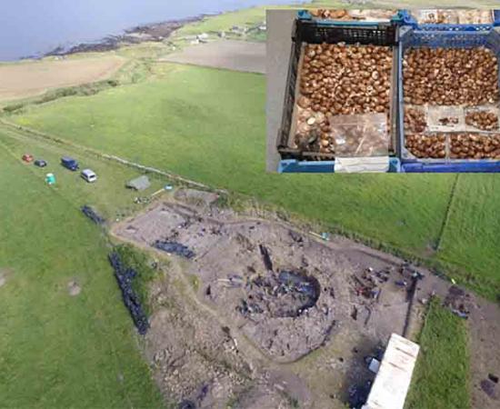 Shellfish Extravaganza at Iron Age Feast Unearthed in Ancient Orkney
