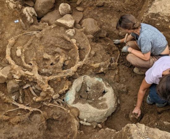 The deposit of iron tyres in Trench 1 shortly after being uncovered.