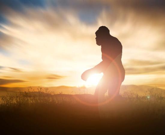 Is Bigfoot Real? Emerging Scientific Evidence