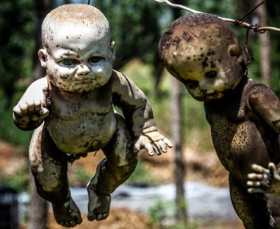 When collecting dolls for the Island of Dolls, Santana Barrera did not make any effort to clean them or to fix them up; once obtained he would hang them on the island’s trees. 