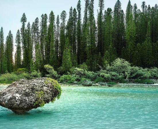 The mounds on the Isle of Pines have remained a mystery for years.   Source: Daniela Photography/Adobe Stock