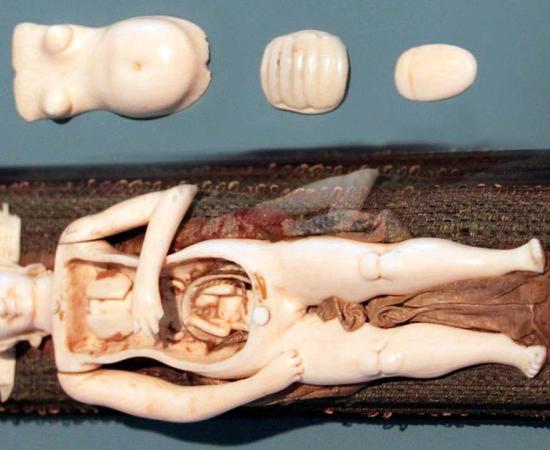 The Mysterious World of 17th Century Ivory Anatomical Manikens.