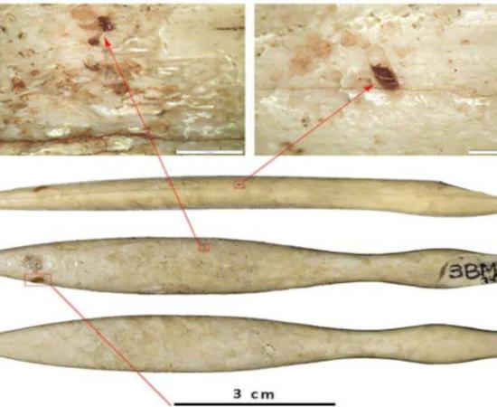 The hippopotamus ivory object from northeastern Iberia.
