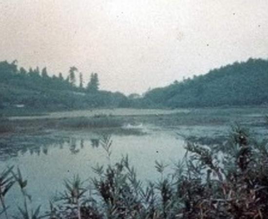 Archaeological site of Iwajuku
