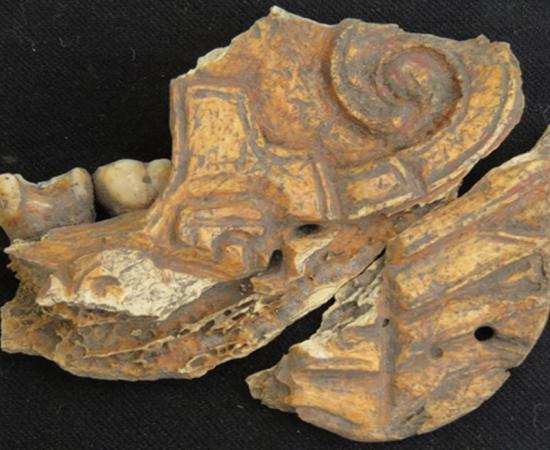 Carved and painted human mandible (jawbone) was found in a ceremonial area within a residential complex at the site of Dainzú-Macuilxóchitl in Mexico.
