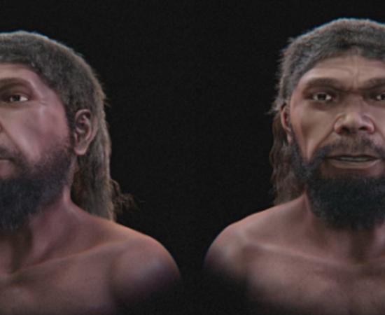 Two views of the proposed Jebel Irhoud face; whose hair, facial hair and pigmentation are artistic choices.