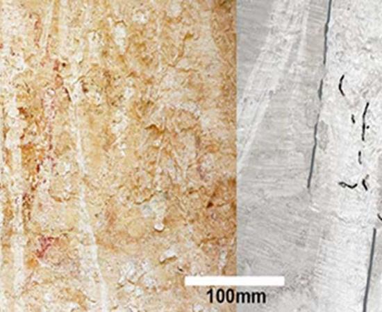 The face of Christ with proposed reconstruction. 