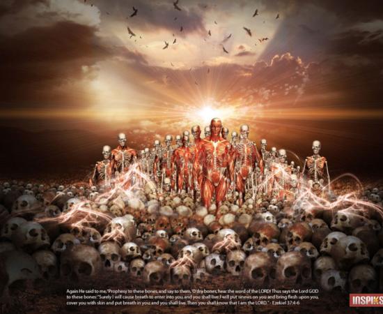 Ezekiel’s vision ‘The Valley of Dry Bones”.      Source: loswl / CC BY-SA 2.0.