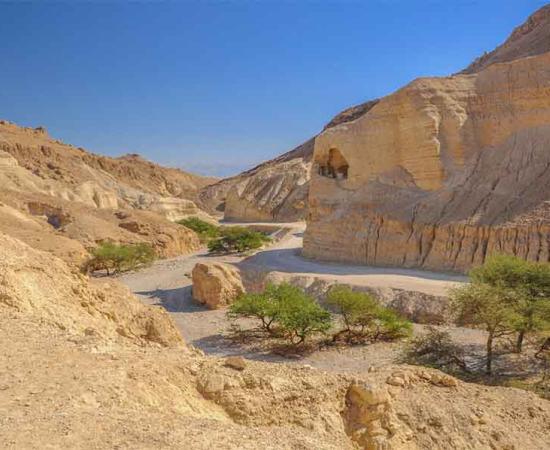 It was in a canyon like this one in the Judean Desert in the West Back of Israel that archaeologists found two ancient Jewish coins (one from 67 AD and one from circa 135 AD). That the coins were found in the same area rewrites existing assumptions about the Jewish revolts against the Romans in an area assumed to be uninhabited after the first Jewish revolt stage.  