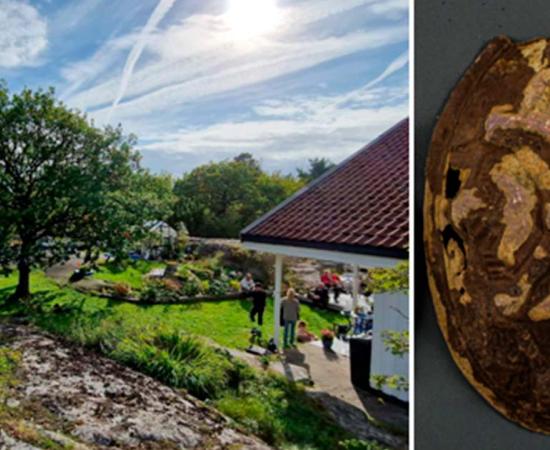 The Aasvik family discovered the Jomfruland artifacts while hunting for their mother’s earing in the garden. Source: Vibeke Lia Vestfold and Telemark County Municipality