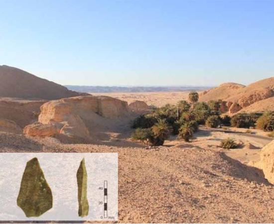 Main; Wadi Gharandal riverine wetland along the Jordan Rift Valley. Inset of flaked stone handtool, found in the Jordan Valley. Source: Main; Mahmoud Abbas, Inset; University of Southampton