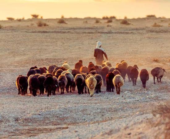 Thanks to 21st-century technology we are now able to examine ancient artifacts, like those found with a Judean shepherd, to learn fascinating details about his life. Source: sajis / Adobe Stock
