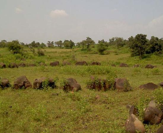 One of the Junapani stone circles in Maharashtra, India, which are now increasingly viewed as astronomically aligned burial sites.                   Source: Ganesh Dhamodkar, CC BY-SA 3.0