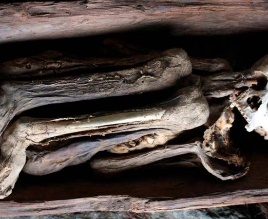 Kabayan cave mummy of the ancient Ibaloi people, Philippines. Tadolo/ Flickr