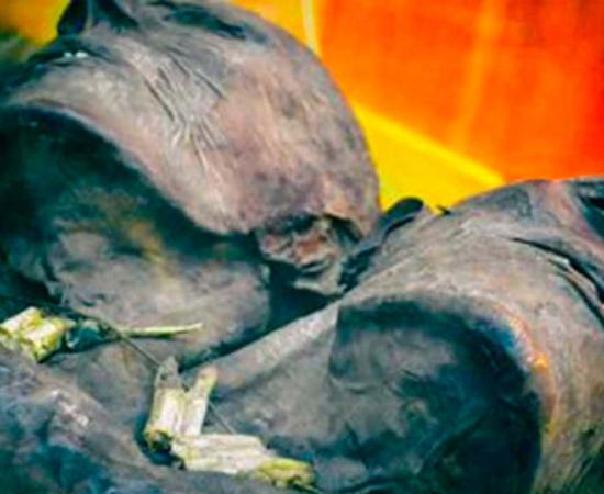 Detail of the two heads of Kap Dwa. Source: CC BY SA