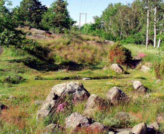 The site of the old town Kaupang, a Viking village for tourists, is an interpretive center where visitors can learn about the Viking Age, as well as about archaeological techniques and processes. Source: J. P. Fagerback, BSD