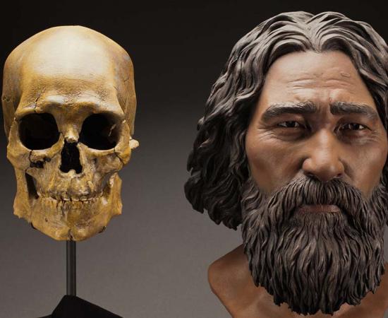 Clay facial reconstruction of the Kennewick Man was created based on the morphological features of his skull. Source: Brittney Tatchell / Smithsonian Institution