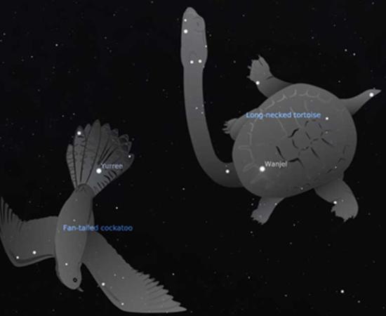 Yurri and Wanjel - the Gemini stars Castor and Pollux in the Wergaia traditions of western Victoria, Australia.