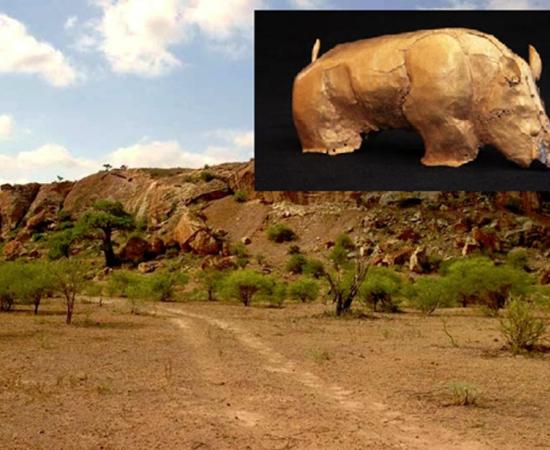 Mapungubwe Hill viewed from the north, The gold rhino of Mapungubwe.