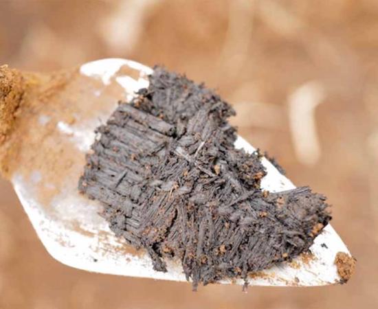 Woven grass mat fragments, approximately 3,000 years old, extracted from an ancestral Kodiak Alutiiq dwelling near Karluk Lake.       Source: Alutiiq Museum