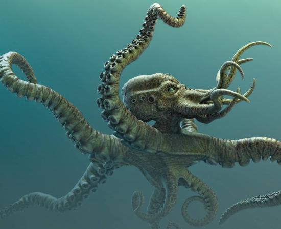 The Legendary Kraken