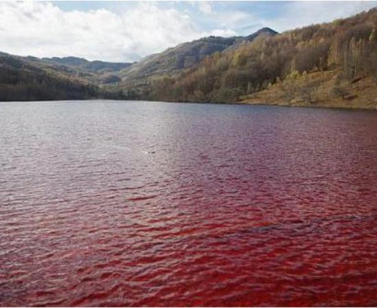 A red lake. Representational image only.