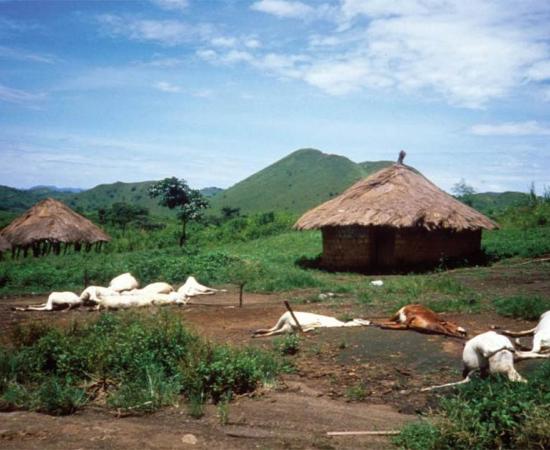 Lake Nyos Tragedy: A Deadly Demonic Fog in Cameroon