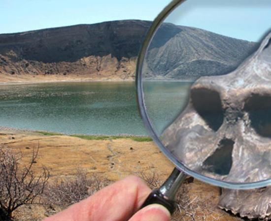 Deriv; Lake Turkana - Central Island - Flamingo Lake (CC BY-SA 3.0), aranthropus aethiopicus fossil hominid found at Lake Turkan