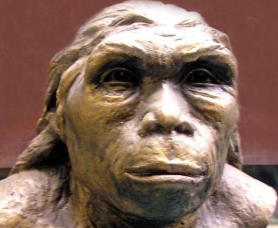 Lantian Man hominin