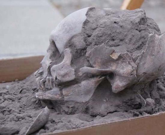 A Las Vegas culture skull excavated in Loma Atahualpa, Ecuador in 2018 is part of the oldest burials found in the country to date.