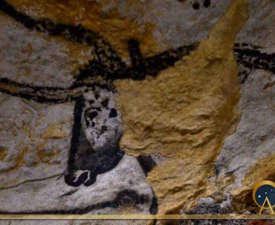 Head of aurochs in the Lascaux caves in France. Source: bobdu11 / Adobe Stock