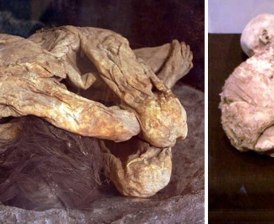 The Lemon Grove Mummies: Ancient Corpses from Mexican Cave Found in California Garage