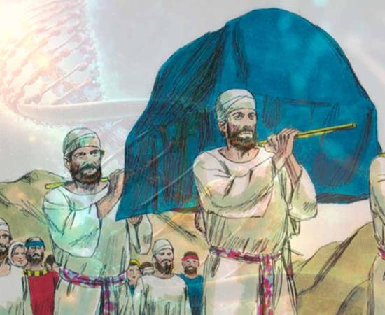 Ancient DNA analysis is unlocking secrets about the genetic legacy of the Levites of ancient Israel. Source: Distant Shores Media/Sweet Publishing/ CC BY-SA 3.0 overlayed and cropped onto ankreative / Adobe Stock