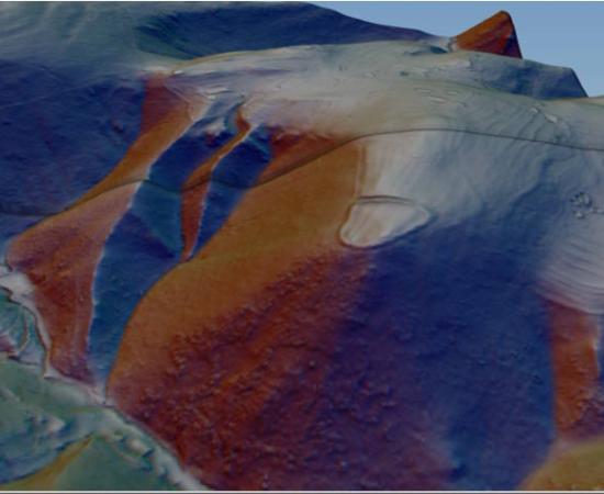 LiDAR scan image of the Bodbury Ring Hillfort. 	Source: University of Chester