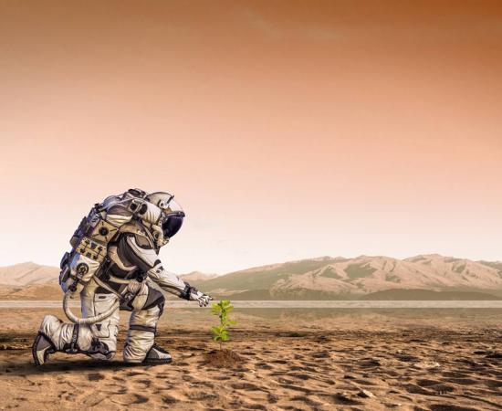 Life on Mars