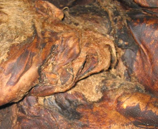 Close up of Lindow Man.      Source: Verity / CC BY-SA 2.0.