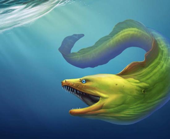 A giant eel. Credit: Konstantin Gerasimov / Adobe Stock