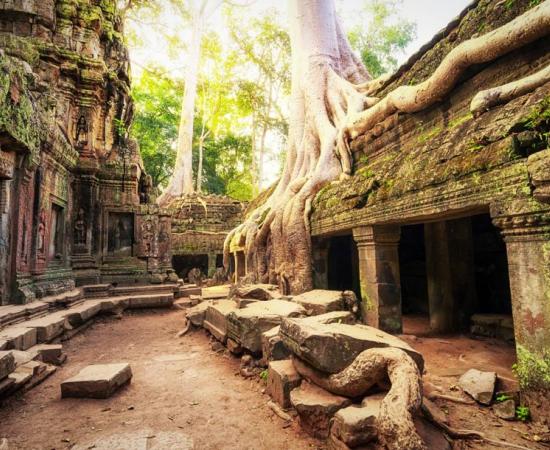 Khmer Empire city found north of Angkor Wat. Here, Ta Prom Khmer ancient Buddhist temple in jungle forest