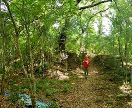 The mound at Grand Caillou. 